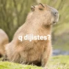 q dijistes?