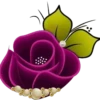 Flores e rosas 1 🌹 20