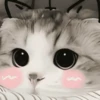 UwU 16