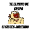 Saquenlo del grupo 👥👍 12