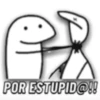 POR ESTUPID@!!