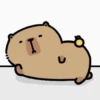Capybara - Random Working Day V2 28