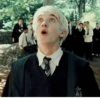 Harry potter от 22