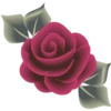 Flores e rosas 1 🌹 22