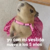 yo con mi vestido nuevo a los 5 años