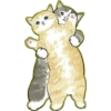 Lindos Gatitos💞1🇵🇪Clásica 26
