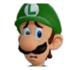 Luigi Reactions 15