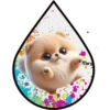 Perritos Tiernos ✺6🇻🇪 21
