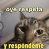 oye respeta agatomoperdonas y respóndeme