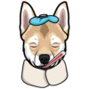 Sam 24