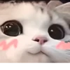 UwU 17