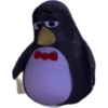 co Coa