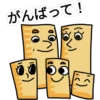 ZAP do Rio にほんご 27