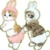 Lindos Gatitos💞1🇵🇪Clásica 27
