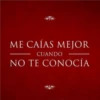 ME CAÍAS MEJOR CUANDO NO TE CONOCÍA