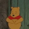 🍯 WINNIE POOH 🍯 12