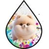 Perritos Tiernos ✺6🇻🇪 22