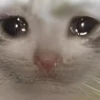 UwU 19