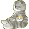 Lindos Gatitos💞1🇵🇪Clásica 28