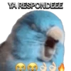 YA RESPONDEEE