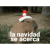 la navidad se acerca