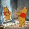 🍯 WINNIE POOH 🍯 14