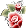 Flores e rosas 1 🌹 25