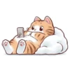 Busy Working Life of Mr. Orange Cat 25