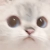 UwU 21