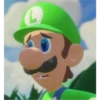 Luigi Reactions 18