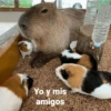 Yo y mis amigos