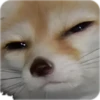 UwU 22