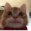 UwU 23