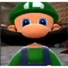 Luigi Reactions 19