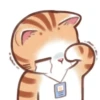 Busy Working Life of Mr. Orange Cat 28