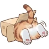 Busy Working Life of Mr. Orange Cat 29