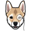 Sam 30