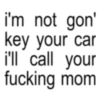 i'm not gon' key your car i'll call your fucking mom