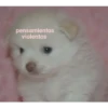 pensamientos violentos