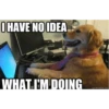 I HAVE NO IDEA WHAT I'M DOING quickmeme.com