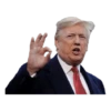 Donald Trump 3
