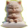 Gato bebé💞3🇵🇪Clásica 5