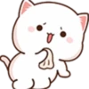 sad-nya 5