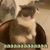 Ahhhh! 5