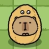 Capybara - Random Working Day 5