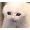 sad 5