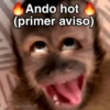 🙊😜🔥 Funny Monkey 🔥😜🙊 7