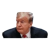 Donald Trump 7