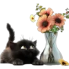 Gatitos❥☯︎ͫ6🇲🇽Clásica 7
