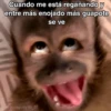 🙊😜🔥 Funny Monkey 🔥😜🙊 9